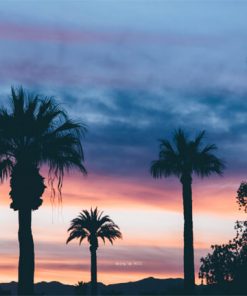 Fotoğrafçı Web Tasarım 3