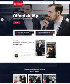 Güvenlik Sistemleri Web Tasarım 3