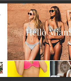 Bayan İç Giyim E Ticaret Web Tasarım 2