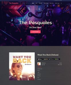 Müzisyen Sanatçı Web Tasarım