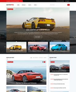 Oto Galeri İnternet Sitesi Tasarımı