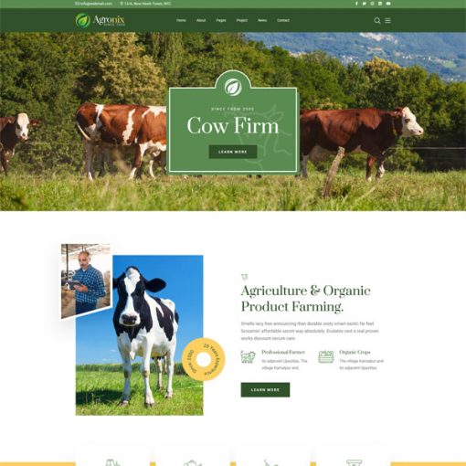 Çiftlik Web Tasarım