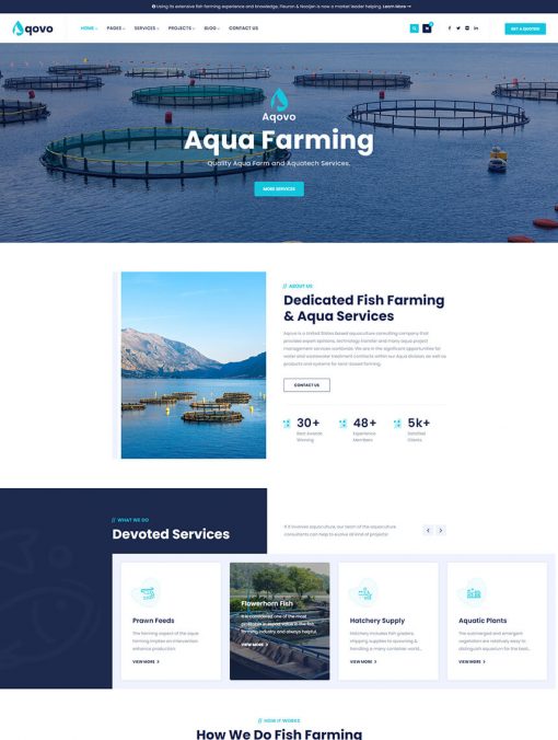 Balıkçılık Web Sitesi Tasarımı