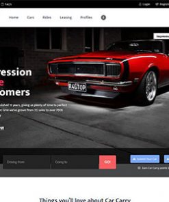 Hazır Oto Kiralama İnternet Sitesi Tasarımı