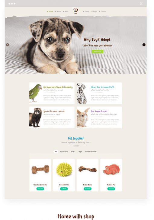 Petshop Mağazası İnternet Sitesi Tasarımı