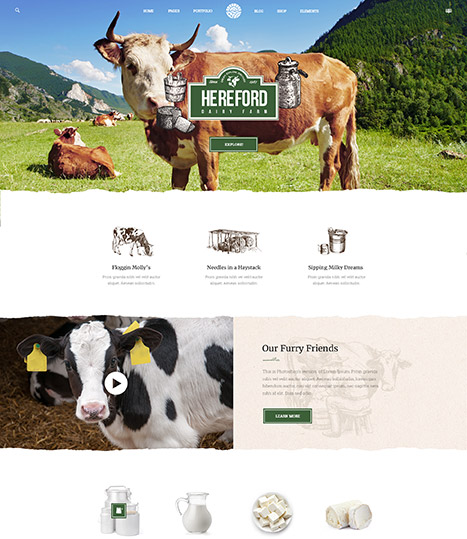 Süt Ürünleri Web Tasarım