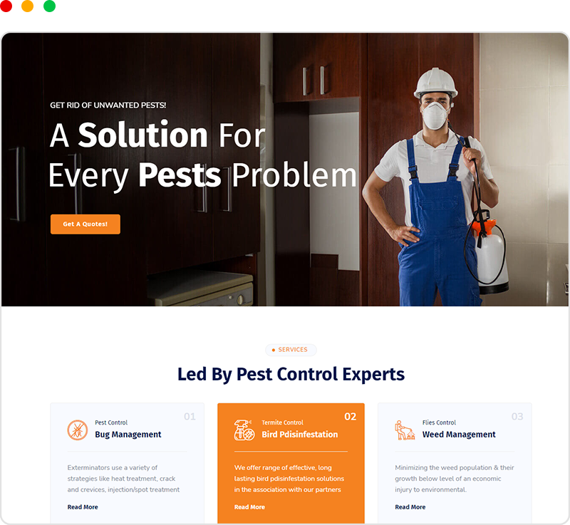 Böcek İlaçlama Web Sitesi Tasarımı
